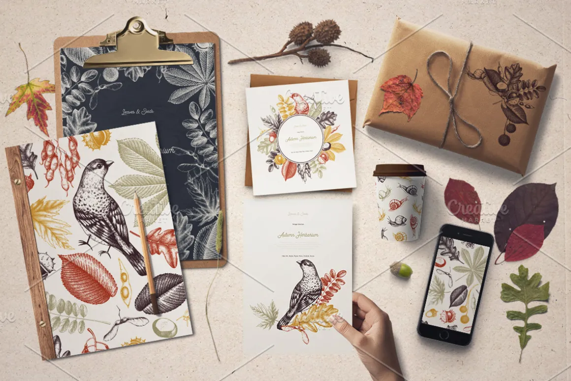 Autumn Leaves Sketches Set