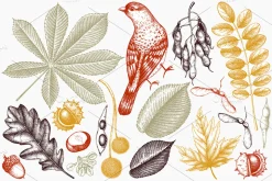 Autumn Leaves Sketches Set