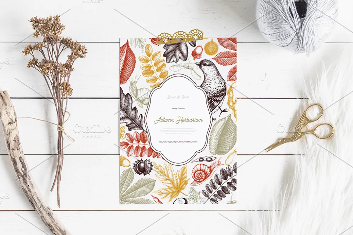 Autumn Leaves Sketches Set