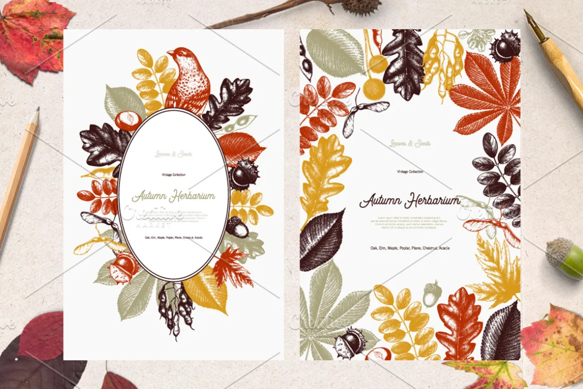 Autumn Leaves Sketches Set