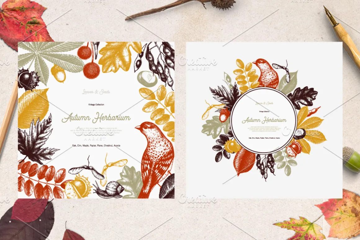 Autumn Leaves Sketches Set