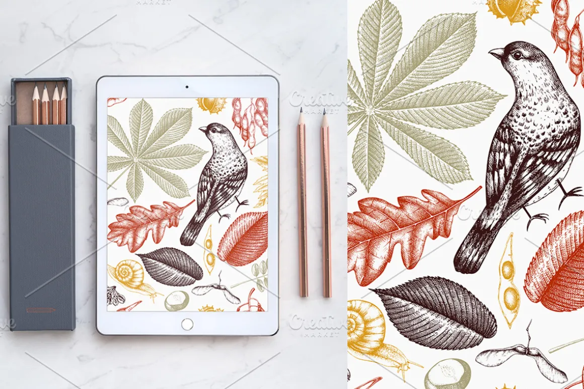 Autumn Leaves Sketches Set