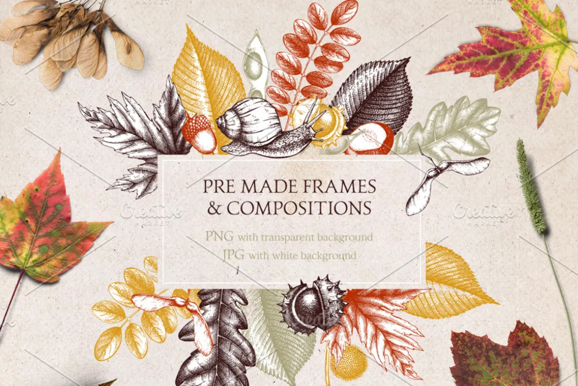 Autumn Leaves Sketches Set