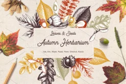 Autumn Leaves Sketches Set