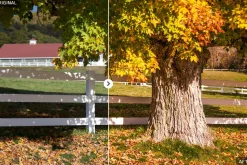 50 Autumn Lightroom Presets