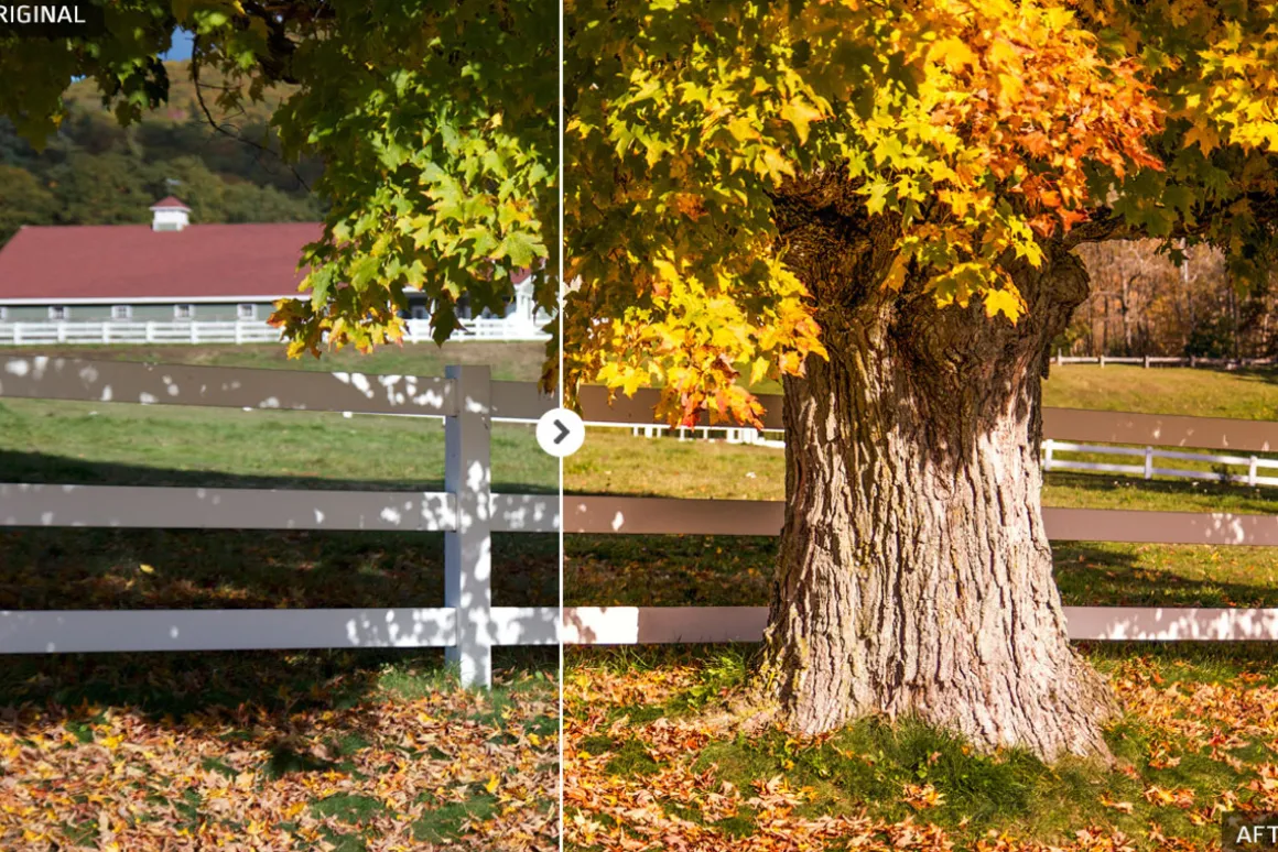50 Autumn Lightroom Presets