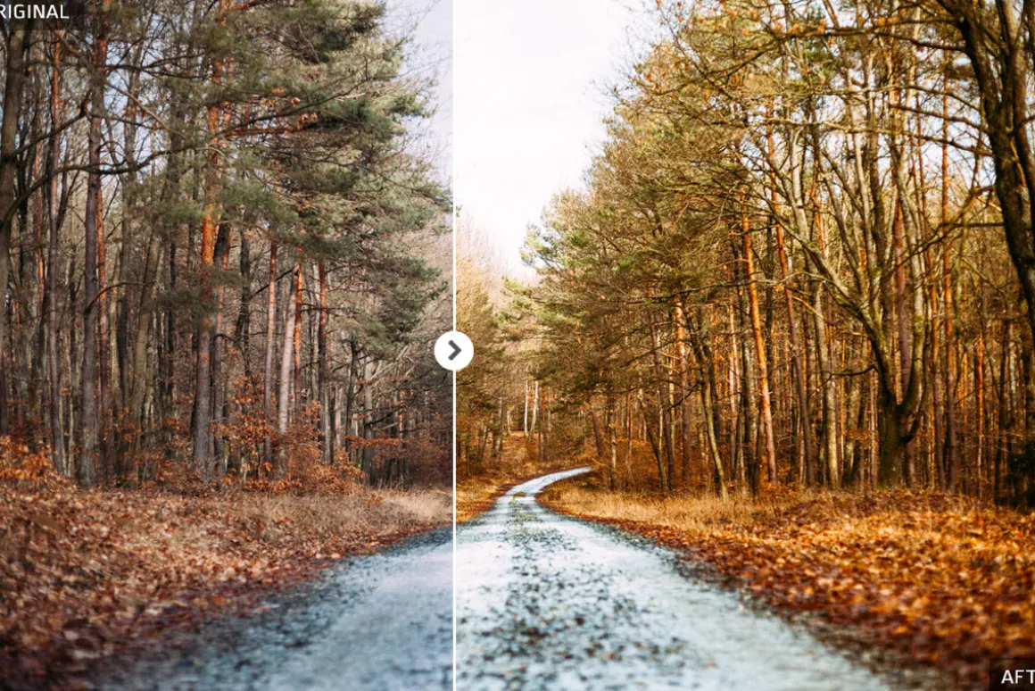 50 Autumn Lightroom Presets