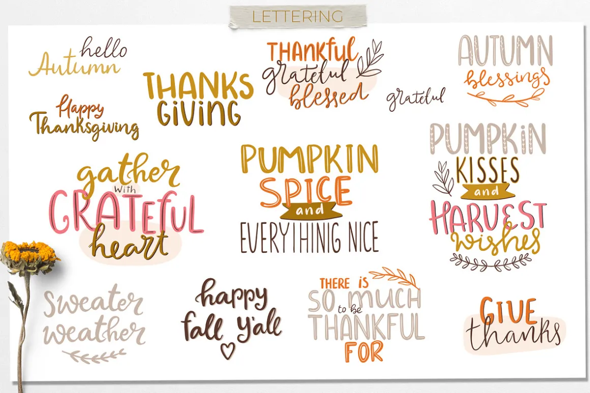 Autumn mood patterns&clipart bundle