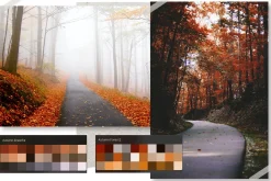 Autumn Procreate color palette.
