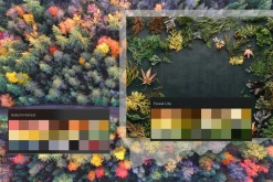 Autumn Procreate color palette.
