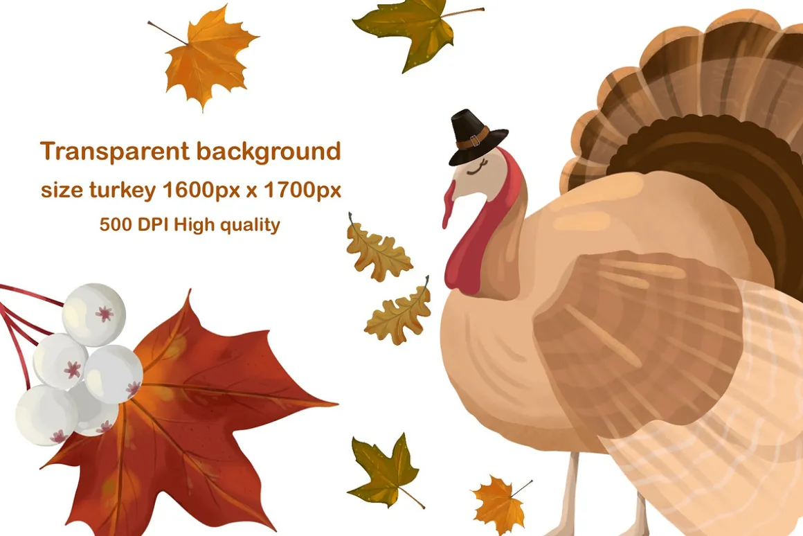 Autumn Pumpkin, Thanksging Clipart
