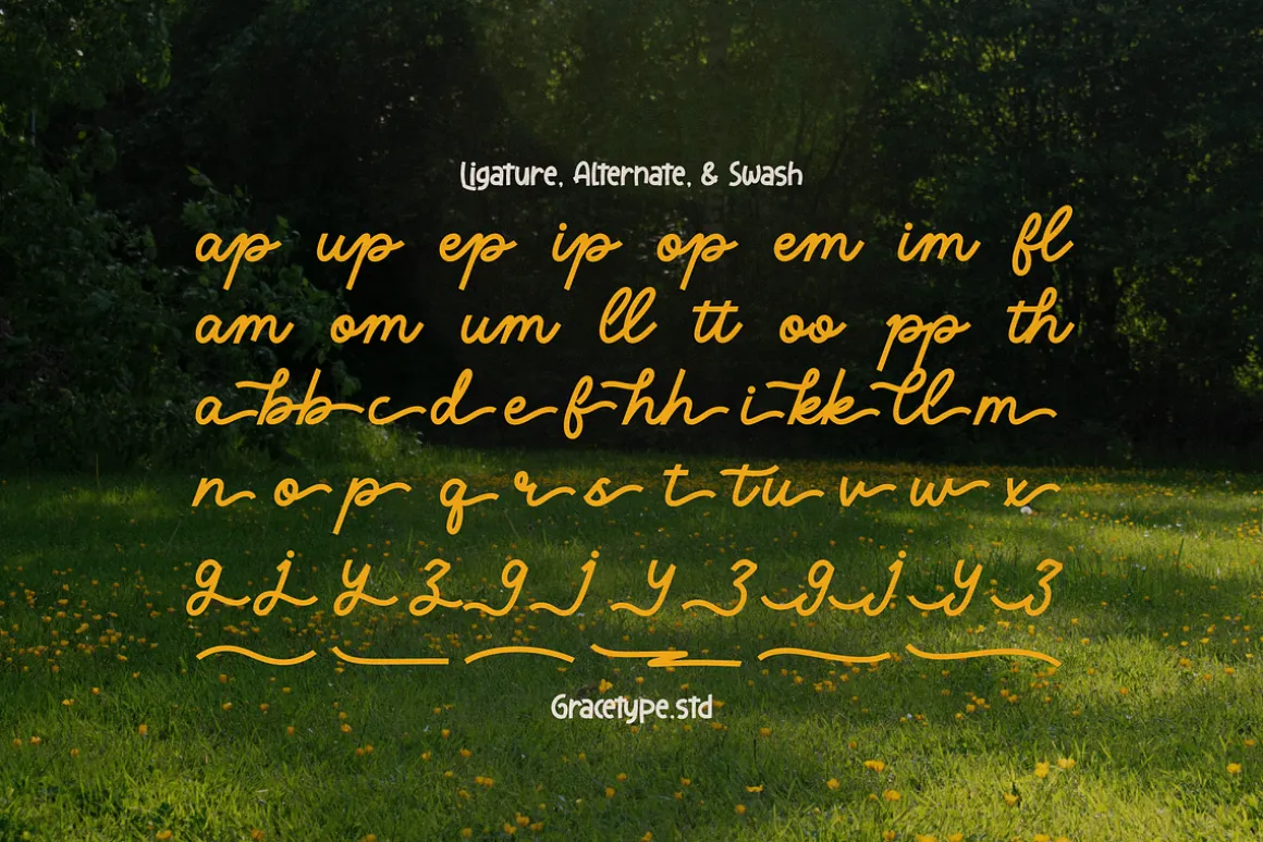 Averty Meadow | Monoline Script