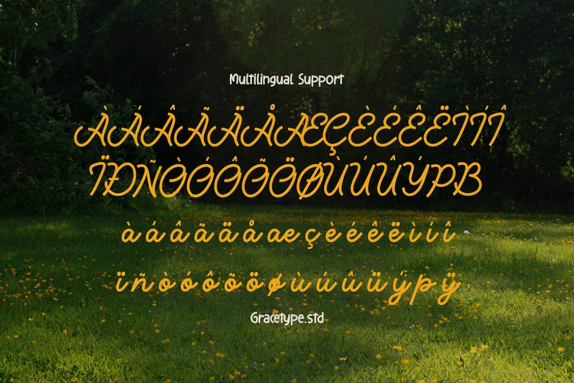 Averty Meadow | Monoline Script