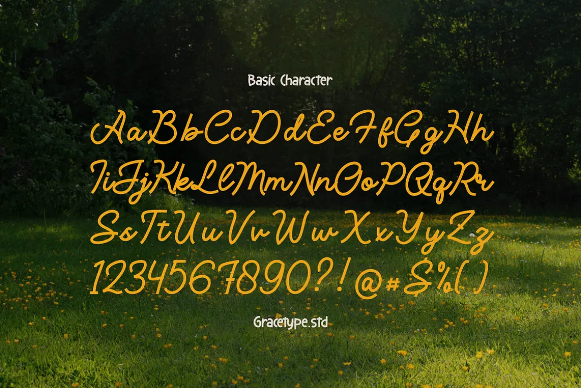 Averty Meadow | Monoline Script