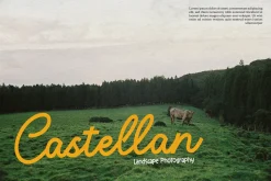 Averty Meadow | Monoline Script