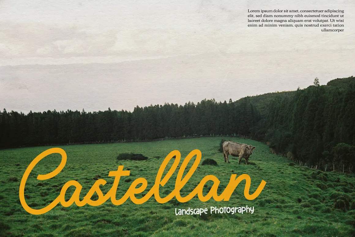 Averty Meadow | Monoline Script