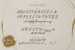 Aviola Memories - Romantic Script