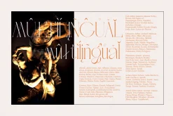 Avole | Serif Typeface