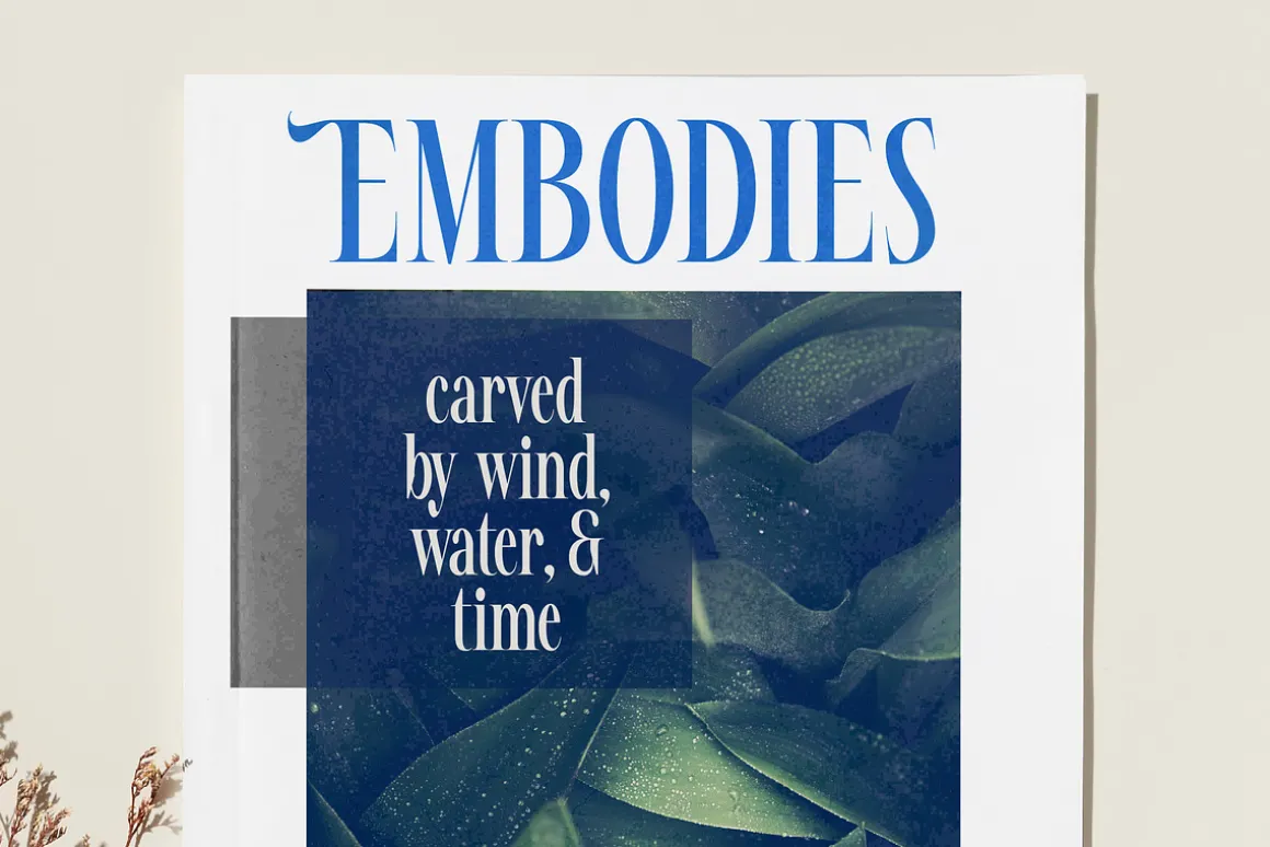 Awesome Shorten Tall Serif Display