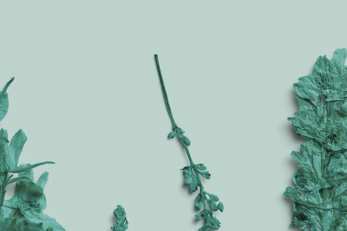 Azure Pressed Botanical PNG Pack