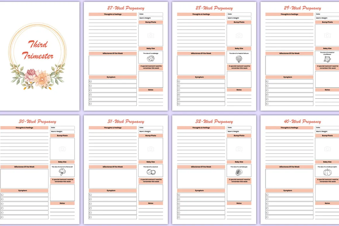 2026 Baby Bump Journal Canva Kdp