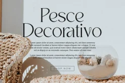 Badoga Modern Serif Font