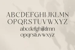 Badoga Modern Serif Font