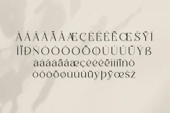 Badoga Modern Serif Font