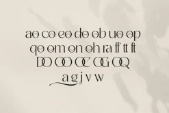 Badoga Modern Serif Font