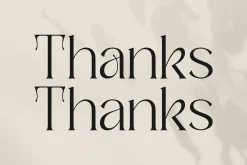 Badoga Modern Serif Font