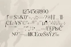 Badoga Modern Serif Font