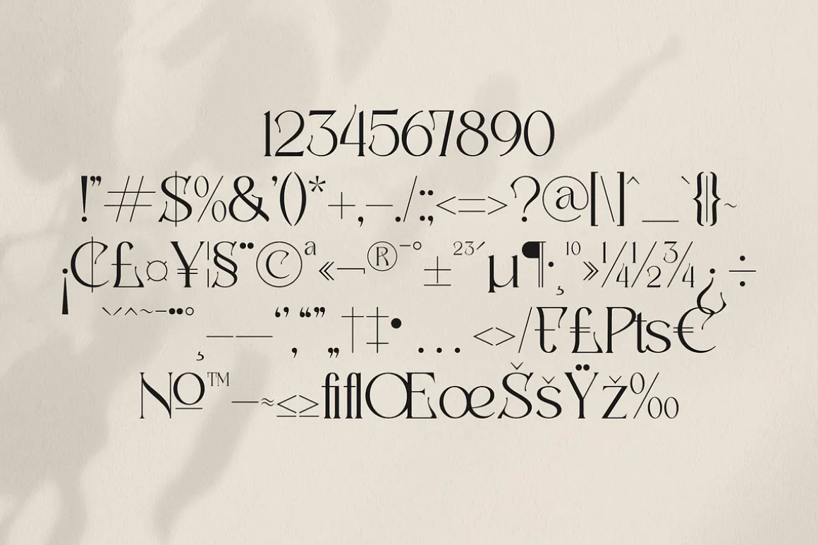 Badoga Modern Serif Font