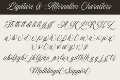 Baliglad – Stylish Calligraphy Font