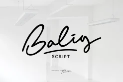 Balig Script -Elegant Signature Font