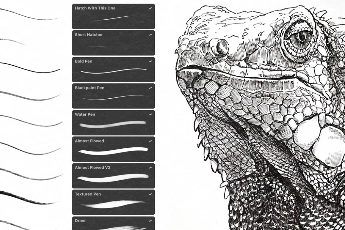 Ballpoint Brushes For Procreate