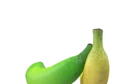 Bananas
