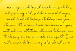 Bananas elegant script font