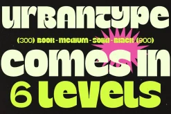Bangkoq Bold Modern Display Font