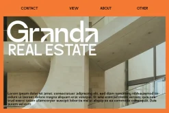 Banky - Modern Humanist Sans