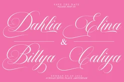 Barleina Calligraphy