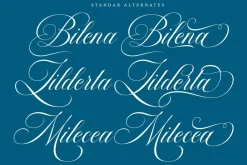 Barleina Calligraphy