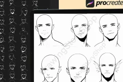 255 Base Procreate male head stamps