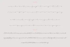 Basil Lime Margarita Script Font