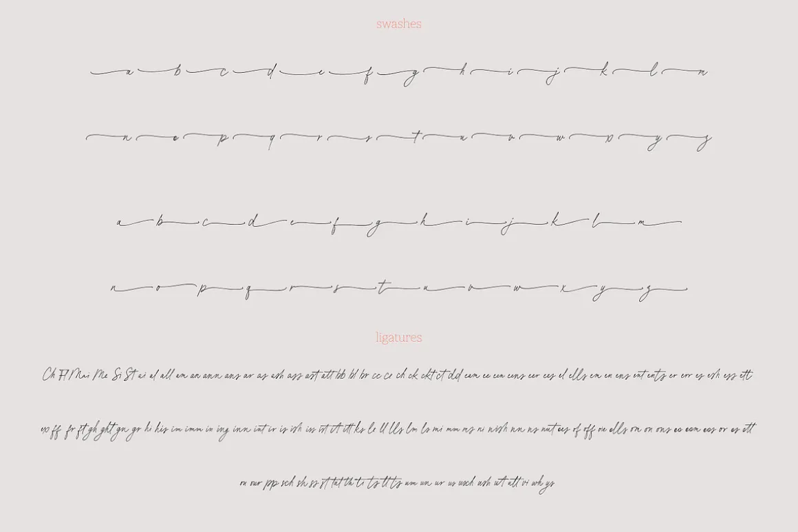 Basil Lime Margarita Script Font