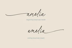 Basil Lime Margarita Script Font