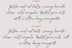 Basil Lime Margarita Script Font