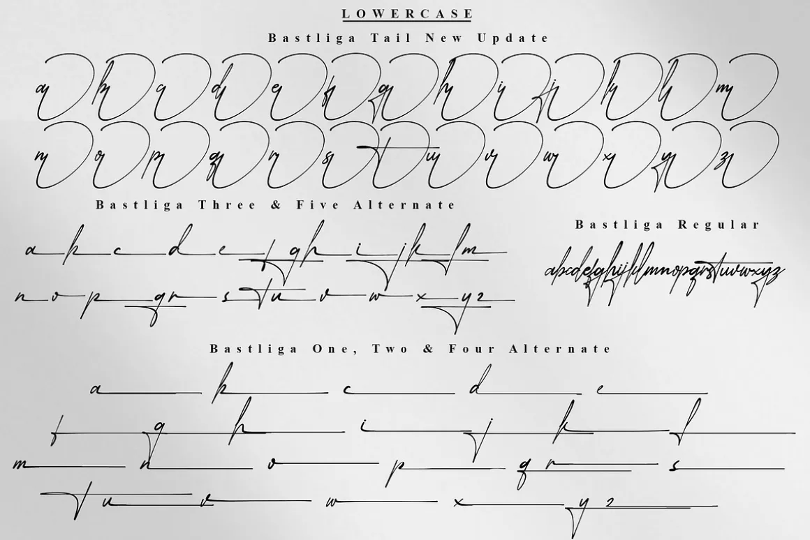Bastliga 5 Realistic Signature Vol.1