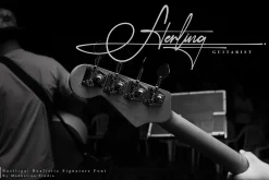 Bastliga 5 Realistic Signature Vol.1