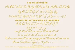 Beach Bound - A Fresh Pencil Script