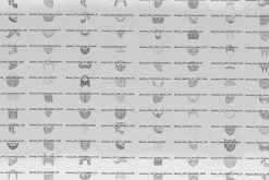 150 Beard & Mustache Procreate Stamp